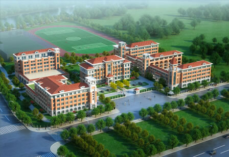 測試的案例信息，測試的案例信息